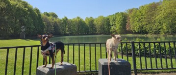 Wandeling langs 3 natuurgebieden in Deurne