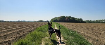 Een prachtig uitzicht in Meise: (H)op naar Oppem wandeling