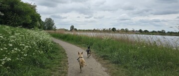 De Wagenbergse put: Loslopen rond het meer