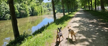 Wandeling in en rond Hulst