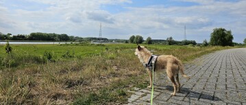 Wandelroute rond het Noordelijk Eiland in Wintam