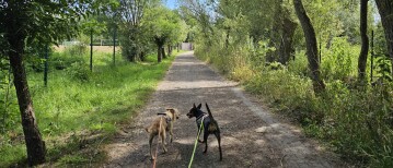Wandelen in Dendermonde: het Dr. Malbrainpad