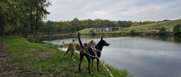 Wandeling in het park rond Fort Liezele