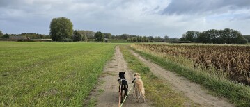 Het molenbeekpad in Wetteren