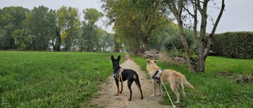 Wandeling rond Fort 3 in Borsbeek