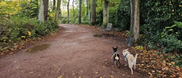 De 6 parkenwandeling in Lokeren