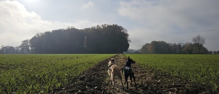 De Beemdenwandeling in Wolvertem