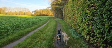 Van Lokeren naar Daknam wandelroute