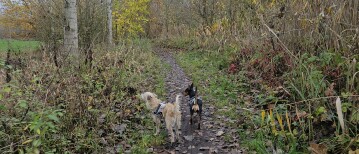 De Puyenbroeck wandelroute in Wachtebeke