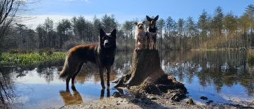 De mooiste wandelroutes in Breda
