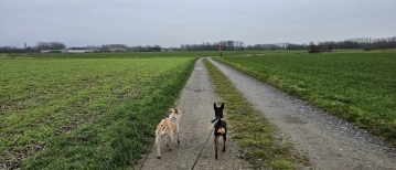 De Commandant Rasquin route in Bornem