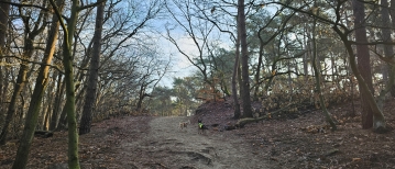 Loslopen in de Loonse en Drunense Duinen