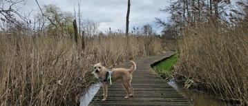 Wandeling door de Damvallei in Destelbergen