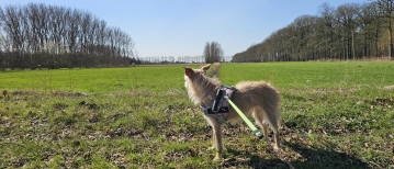 Wandeling door Burkel in Maldegem