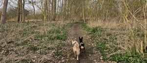 Wandeling door de Oude Netearm in Rumst