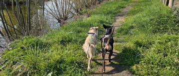 Wandelen rond de Kieldrechtse Kreek