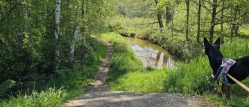 Wandelen door de Kleine Netevallei: De Steenbeemden in Kessel (6 km)