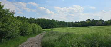 Wandelen in Winksele: De Mollekensbergwandeling (6,4 km)