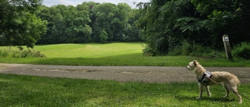 Wandelen door het park de Drie fonteinen in Vilvoorde