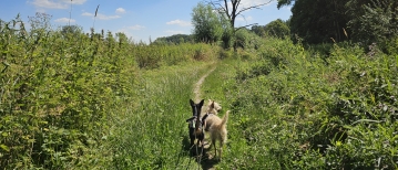 De Poekekasteel wandelroute in Aalter (8,8 km)