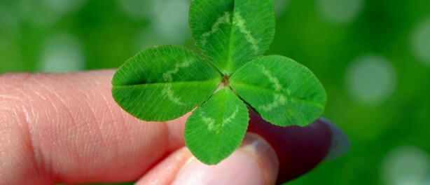 Toeval bestaat niet!