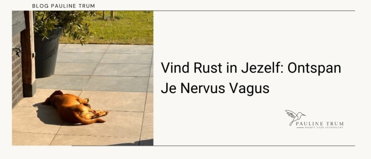 Vind Rust in Jezelf: Ontspan Je Nervus Vagus