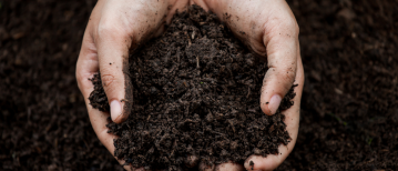 De waarde die blijft