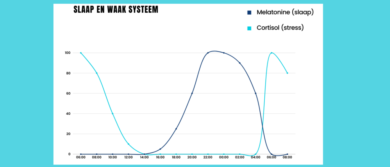 Hoe slaap je energieniveau beïnvloedt (en wat je eraan kunt doen)