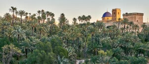 Elche: Een Stad Vol Historie, Cultuur en Natuurlijke Schoonheid