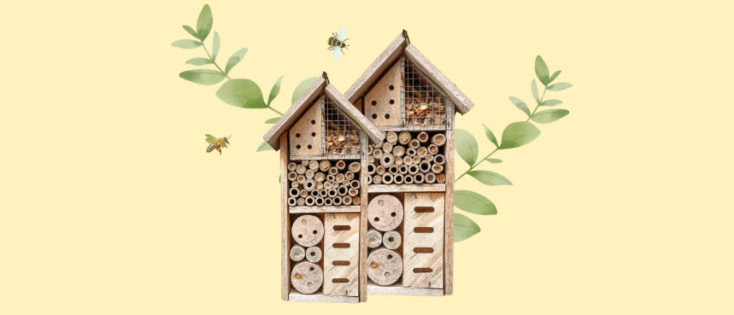 Insectenhotel Bouwen (90 minuten)