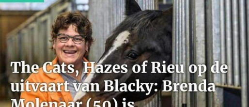Interview met Noordhollands Dagblad over dierenuitvaarten en afscheid nemen van paarden