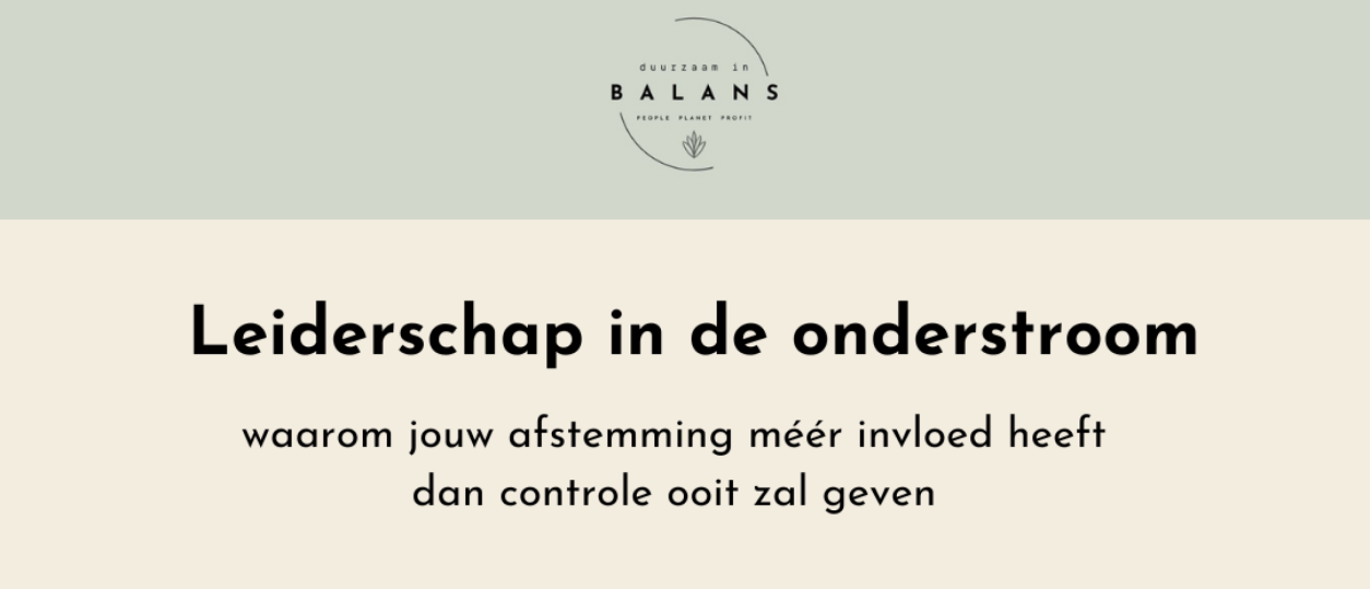 Leiderschap in de onderstroom