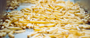 De slimste frietkeuze voor jouw keuken: smaak, gemak én kwaliteit