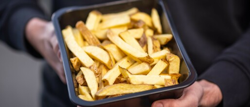Vers voorgebakken friet leverancier groothandel & producent