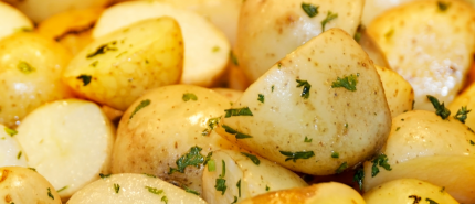 Ontdek onze aardappelproducten op aanvraag