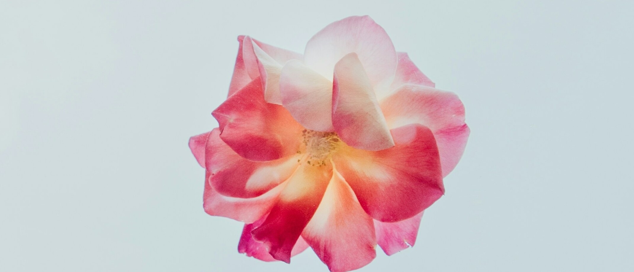 Vallei Orgasme, wat is dat?