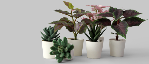 Een nieuw thuis: zo creëer je sfeer na een verhuizing met kunstplanten