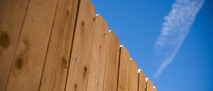 Douglas hout voor buitenprojecten: sterke punten en aandachtspunten