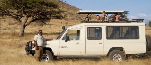 What to Expect on Your First Safari: Tips and Advice for Beginners