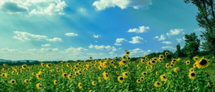 Zomerstand aan - gewoontes uit?
