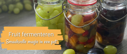 Fruit fermenteren