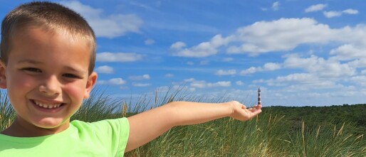 Vuurtoren van Ameland bezoeken – persoonlijke tips en prijzen💡