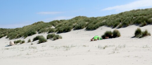 Wat moet je regelen voor je Ameland vakantie? Wat neem je mee?⛴️