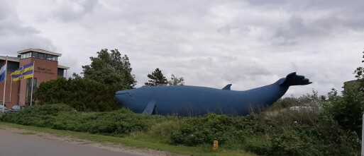 Regen op Ameland? Leukste binnenactiviteiten voor gezinnen!🌦️