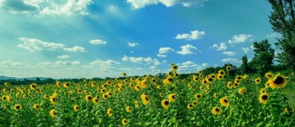 Summer mode on - habits off?