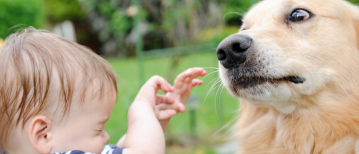 Mijn hond gromt naar kinderen: wat je moet weten