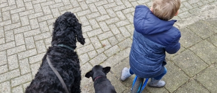 Help, mijn hond trekt! Zo wandel je weer ontspannen met je kind én je hond