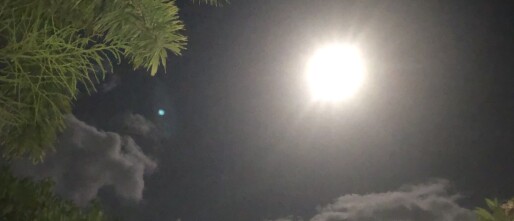 Volle maan in Schorpioen 12 mei 2025