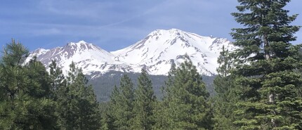 Mount Shasta