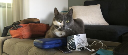 San Rafael State Californië